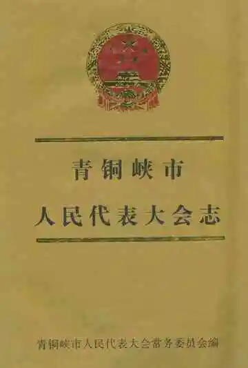 《青铜峡市人民代表大会志》封面