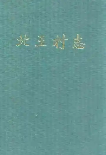 北王村志