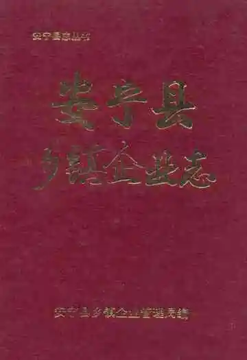 安宁县乡镇企业志
