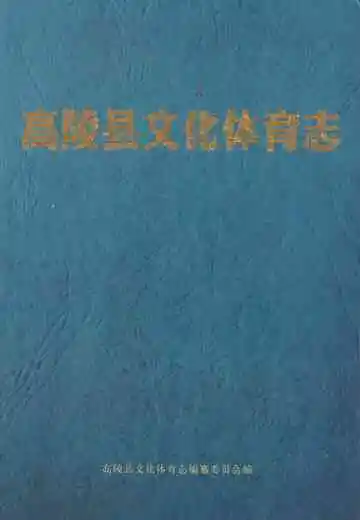 高陵县文化体育志