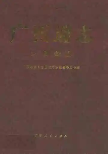 广西通志共青团志