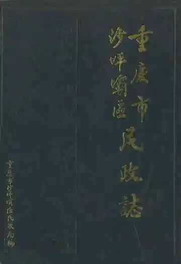 重庆市沙坪坝区民政志