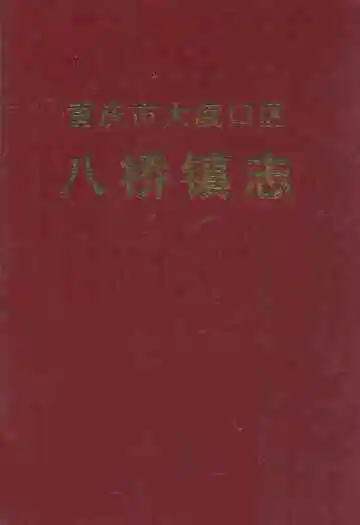 重庆市大渡口区八桥镇志