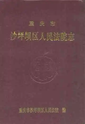 重庆市沙坪坝区人民法院志
