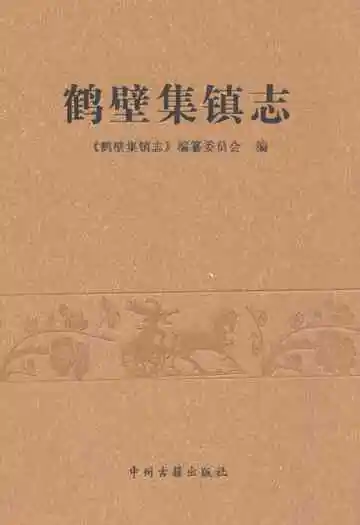 鹤壁集镇志