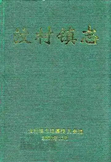 汶村镇志