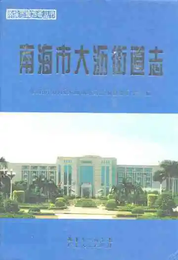 南海市大沥街道志