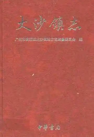 大沙镇志
