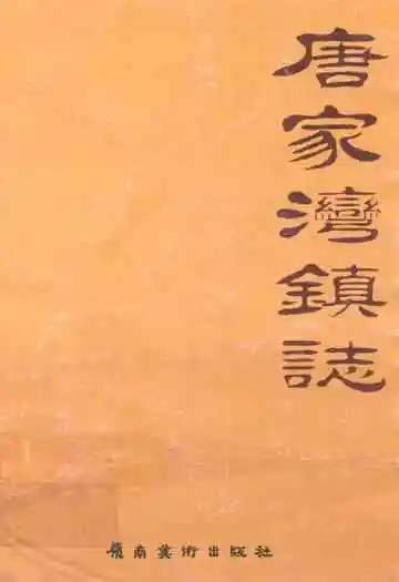 唐家湾镇志