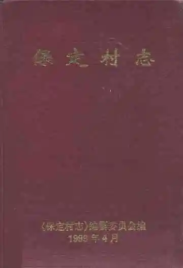 保定村志
