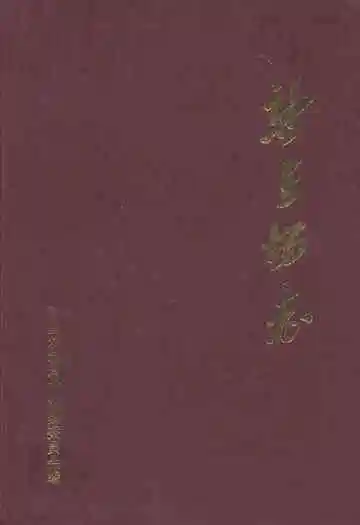 新星场志