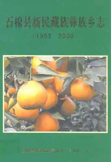 石棉县新民藏族彝族乡志(1952-2000)