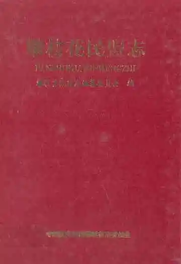 《攀枝花民盟志》