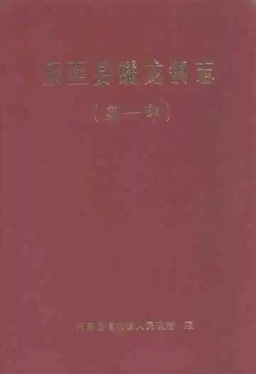 乐至县蟠龙镇志(第一部)