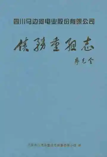 川马电业债务重组志