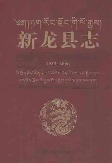 新龙县志(1988-2006)