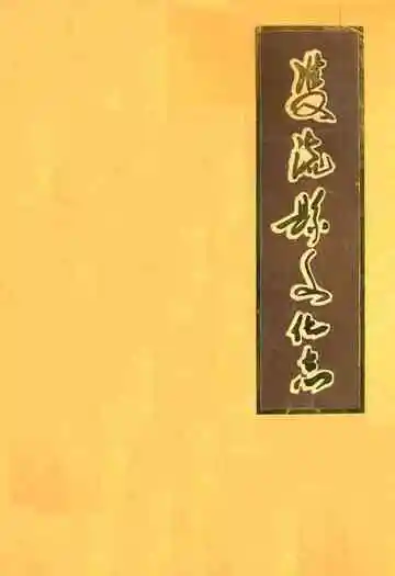 双流县文化志