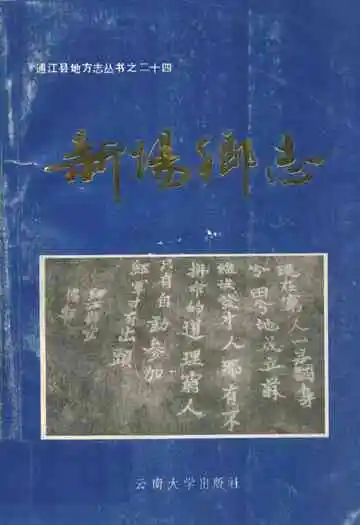 新场乡志