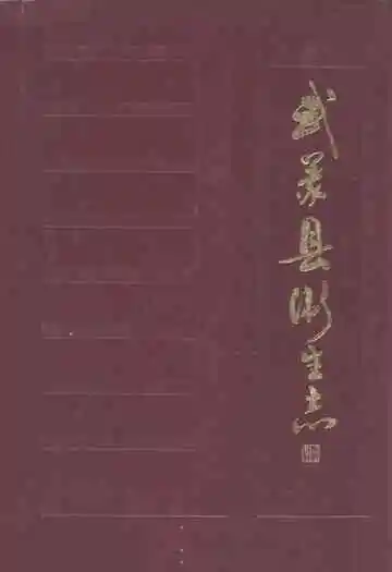 武义县卫生志