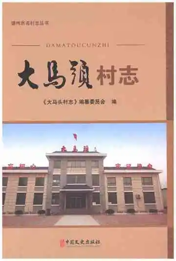 大马头村志