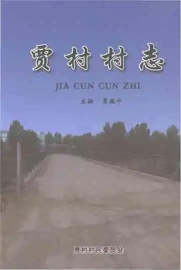 贾村村志