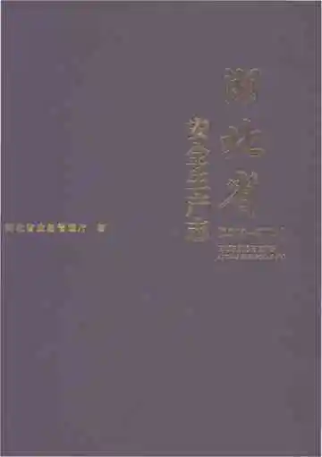 湖北省安全生产志1949-2013