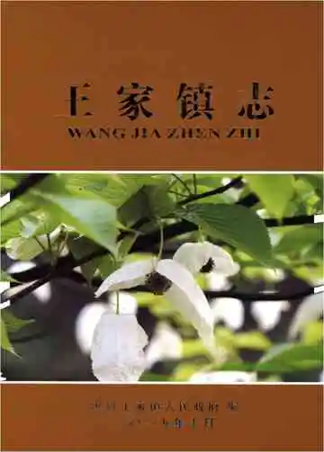 王家镇志