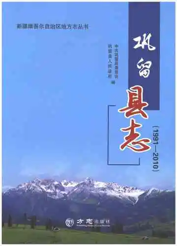 《巩留县志 1991-2010》封面