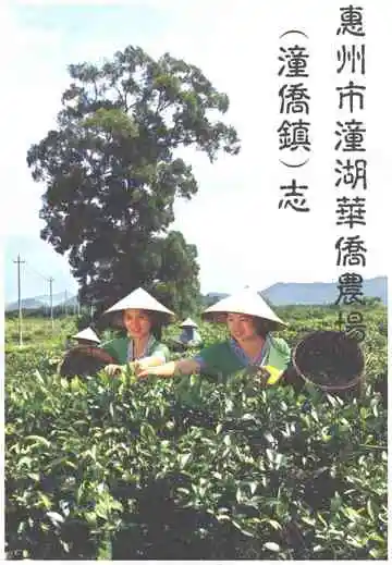 惠州市潼湖华侨农场潼侨镇志