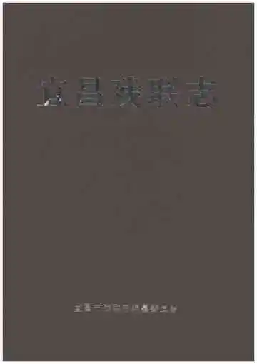 宜昌残联志