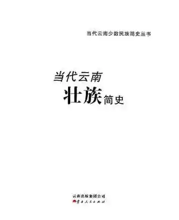 当代云南壮族简史