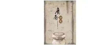 广南简史