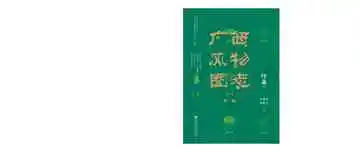 广西风物图志 第一辑 圩集