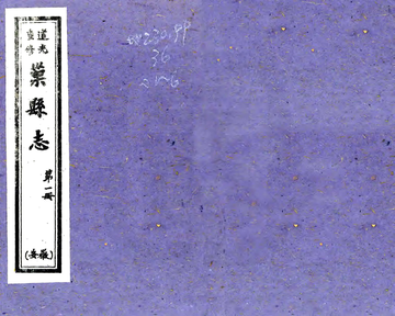 巢县志（道光 油印本）