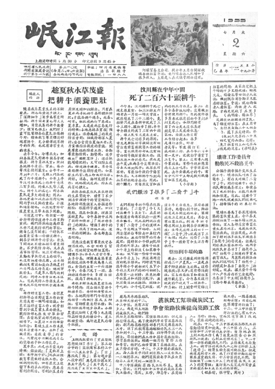 岷江报1955年7月合订本