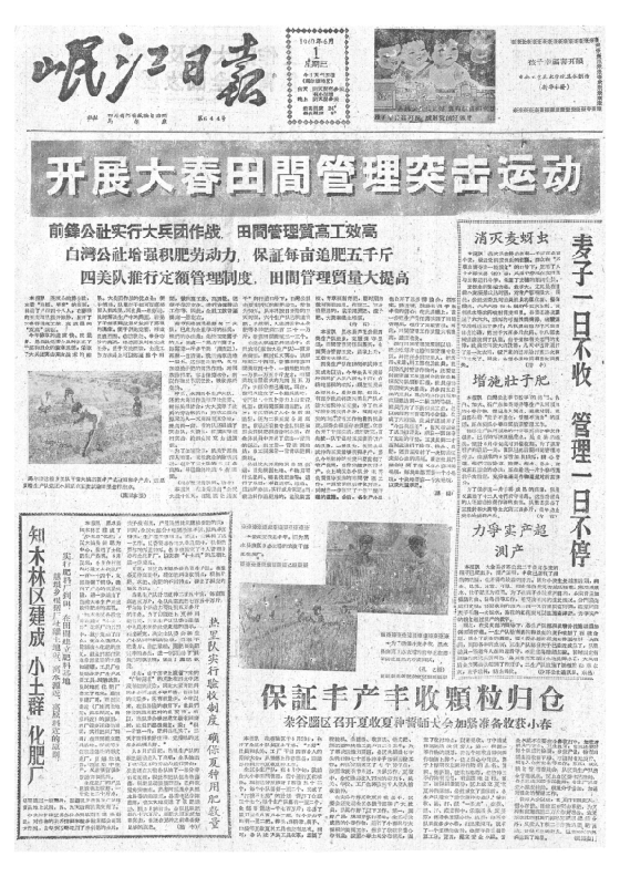 岷江日报1960年6月合订本